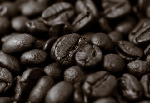 Lorem Ipsum